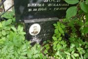 Лось Вячеслав Николаевич, Москва, Востряковское кладбище
